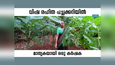 വിഷ രഹിത പച്ചക്കറിയിൽ മാതൃകയായി ഒരു കർഷക, വീഡിയോ കാണാം