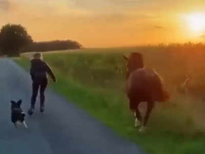 Skating With Horse: ಶ್ವಾನ, ಕುದುರೆಯೊಂದಿಗೆ ಮಹಿಳೆಯ ಸ್ಕೇಟಿಂಗ್: ಖುಷಿ ನೀಡುತ್ತದೆ ಈ ಬಾಂಧವ್ಯ