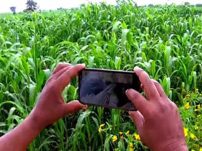 Crop Survey: ರೈತರೇ ನಿಮ್ಮ ಜಮೀನಿನ ಬೆಳೆ ವಿವರ ನೀವೇ ದಾಖಲಿಸಿ..! ಶುರುವಾಗಿದೆ ಮುಂಗಾರು ಬೆಳೆ ಸಮೀಕ್ಷೆ..!