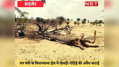 Barmer News : केयर्न वेदांता कंपनी ने काटे प्रतिबंधित पेड़, लोगों ने काम रुकवाया, वन मंत्री खफा