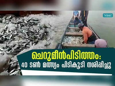 ചെറുമീന്‍പിടിത്തം 40 ടണ്‍ മത്സ്യം പിടികൂടി നശിപ്പിച്ചു