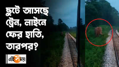 ছুটে আসছে ট্রেন, লাইনে ফের হাতি, তারপর কী হল