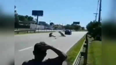 Viral Video: ಯುವಕನ ಅಪಾಯಕಾರಿ ಬೈಕ್ ವ್ಹೀಲಿಂಗ್ ಶೋಕಿ!: ಬೆಚ್ಚಿಬೀಳಿಸುವಂತಿದೆ ಆ ಕ್ಷಣ!