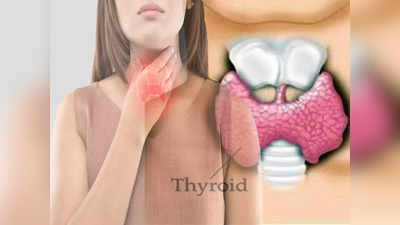 Thyroid Health: थायराइड कंट्रोल करना चाहते हैं? आज से ही खाना शुरु कर दें ये 5 सुपरफूड, कुछ ही दिनों में दिखने लगेगा असर
