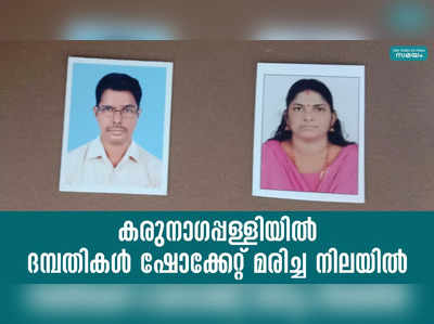 കരുനാഗപ്പള്ളിയിൽ ദമ്പതികൾ ഷോക്കേറ്റ് മരിച്ച നിലയിൽ