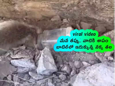 viral video: మన తప్పు.. వాటికి శాపం.. బాటిల్‌లో ఇరుక్కున్న నక్క తల