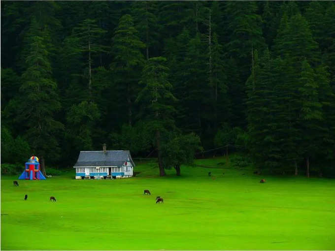 ಡೌಲ್‌ಹೌಸಿ