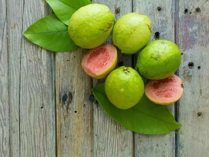 ​ಪೇರಳೆ ಎಲೆ ಸೇವಿಸುವ ಮೊದಲು ಇದನ್ನು ತಿಳಿದುಕೊಳ್ಳಿ