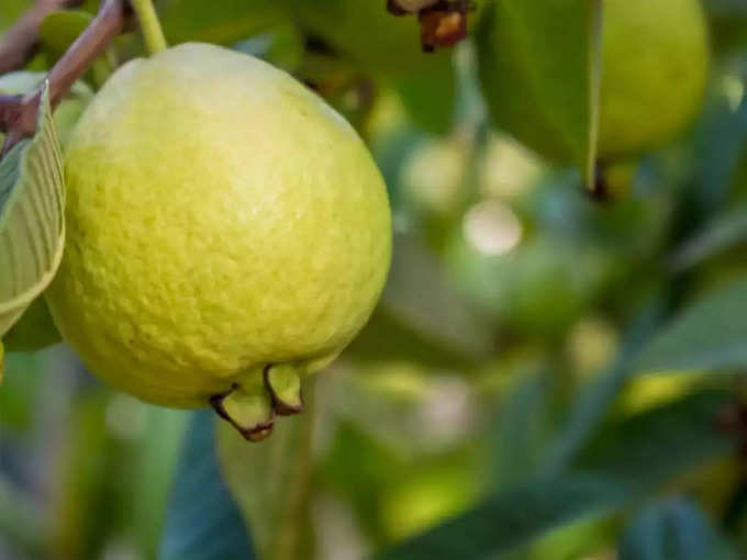 ​ಅತಿಸಾರ ಪರಿಹಾರ