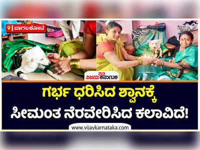 ಗರ್ಭ ಧರಿಸಿದ ಸಾಕು ನಾಯಿ ಜಿಂಕಿಯ ಸೀಮಂತ ಕಾರ್ಯ ನೆರವೇರಿಸಿದ ಗುಳೇದಗುಡ್ಡದ ಕಲಾವಿದೆ