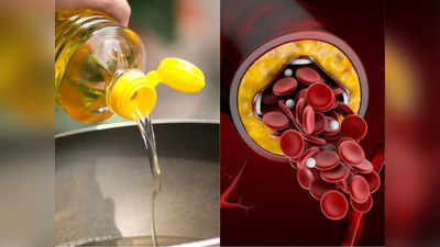 Best oil for cholesterol: नसों में जमा गंदे कोलेस्ट्रॉल को निकाल देगा ये तेल, Ayurveda डॉक्टर ने बताए जबरदस्त फायदे