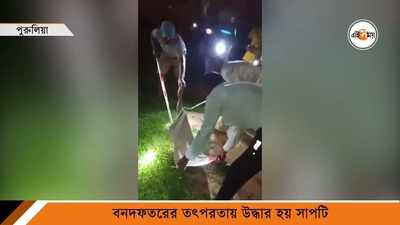 বাড়ির সামনে গোখরো, হাড়হিম করা ভিডিয়ো