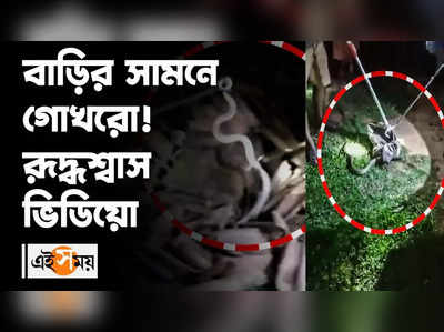 বাড়ির সামনে গোখরো, হাড়হিম করা ভিডিয়ো