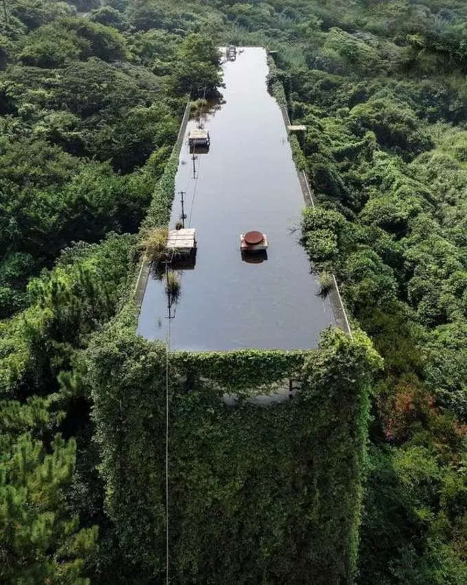 ಪಾಳು ಕಟ್ಟಡವನ್ನು ಆವರಿಸಿಕೊಂಡ ಬಳ್ಳಿ...!