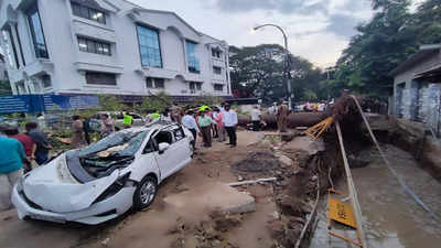 Chennai Rains: ಕಾರಿನ ಮೇಲೆ ಮರ ಬಿದ್ದು ಮಹಿಳೆ ದುರ್ಮರಣ