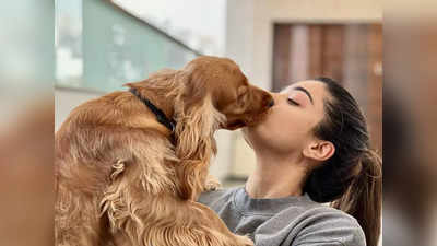 Rashmika Mandanna Pet Dog: रश्मिका मंदाना के पालतू कुत्ते से जुड़ी ऐसी खबर हुई वायरल, सफाई देते नहीं रुकी ऐक्ट्रेस की हंसी