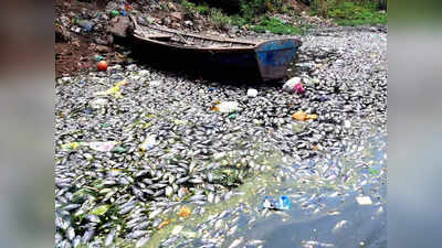 Howrah: কারখানার দূষিত জল মিশছে দামোদরে, প্রতিবাদে সামিল উলুবেড়িয়াবাসী