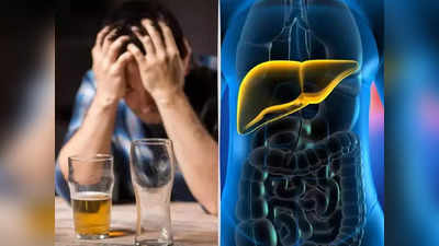 <strong>Liver Health : </strong>दारू नाही तर रोज खाल्ले जाणारे ‘हे’ 5 पदार्थ करतात लिव्हर सडवण्याचं काम, ताबडतोब खाणं थांबवा..!