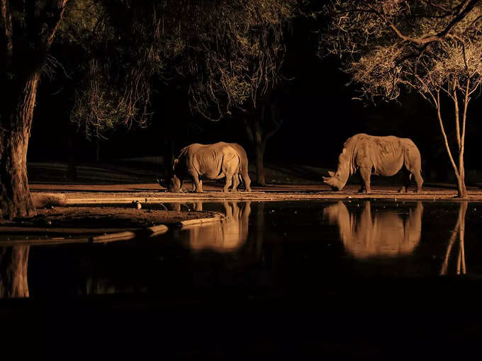 कान्हा राष्ट्रीय उद्यान, मध्य प्रदेश - Kanha National Park, Madhya Pradesh