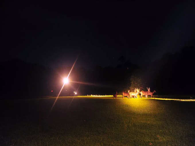 पेंच राष्ट्रीय उद्यान, मध्य प्रदेश - Pench National Park, Madhya Pradesh