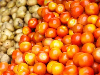 आवक वाढल्याने टोमॅटो, बटाटा स्वस्त; मटारच्या दरांत काहीशी वाढ