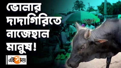 ভোলার দাদাগিরিতে নাজেহাল মানুষ!