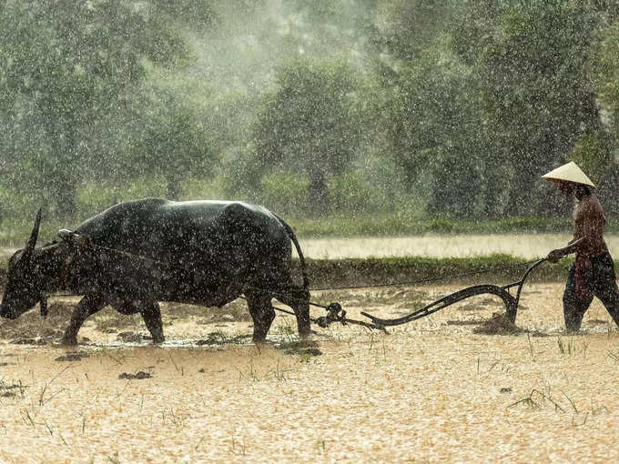 ​ಇವುಗಳನ್ನು ಪೂಜಿಸಿ