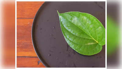 betel leaf:తమలపాకుతో.. యూరిక్‌ యాసిడ్‌ సమస్యకు చెక్‌