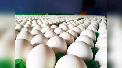 Egg Price: முட்டை விலை வரலாறு காணாத உயர்வு!