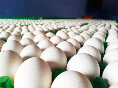 Egg Price: முட்டை விலை வரலாறு காணாத உயர்வு!