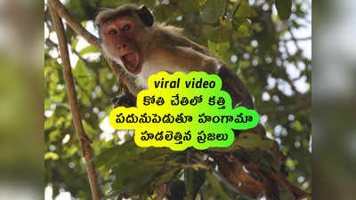 viral video: కోతి చేతిలో కత్తి.. పదునుపెడుతూ హంగామా.. హడలెత్తిన ప్రజలు