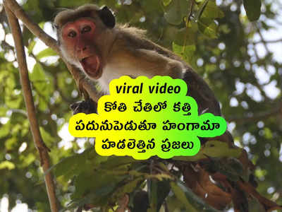 viral video: కోతి చేతిలో కత్తి.. పదునుపెడుతూ హంగామా.. హడలెత్తిన ప్రజలు