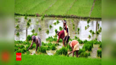 PM Kisan Scheme: పీఎం కిసాన్‌ స్కీమ్‌లో కేంద్రం కీలక మార్పులు.. ఇకపై..