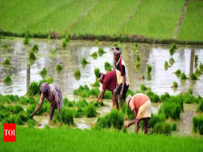 PM Kisan Scheme: పీఎం కిసాన్‌ స్కీమ్‌లో కేంద్రం కీలక మార్పులు.. ఇకపై..