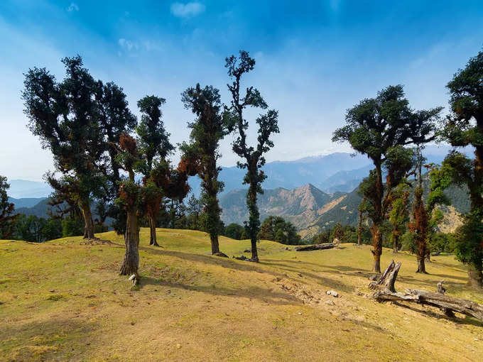 औली बुग्याल - Auli Bugyal