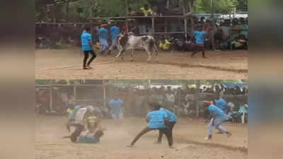 சிவகங்கை: மஞ்சுவிரட்டு போட்டியில் காயமடைந்த மாடுபிடி வீரர் உயிரிழப்பு!