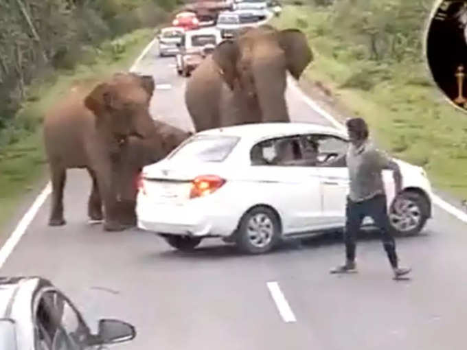 जब हाथियों ने गाड़ियों पर कर दिया अटैक...