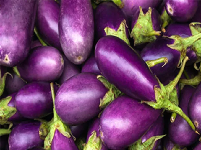 brinjal