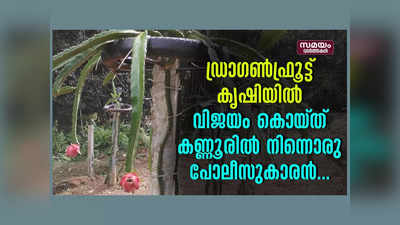 ഡ്രാഗൺ ഫ്രൂട്ട് കൃഷിയിൽ വിജയം കൊയ്ത് കണ്ണൂരിൽ നിന്നൊരു പോലീസുകാരൻ, വീഡിയോ കാണാം