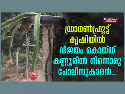 ഡ്രാഗൺ ഫ്രൂട്ട് കൃഷിയിൽ വിജയം കൊയ്ത് കണ്ണൂരിൽ നിന്നൊരു പോലീസുകാരൻ, വീഡിയോ കാണാം