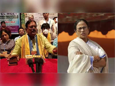 Mamata Banerjee: মা সারদা অন্য রূপে আমাদের দিদি!  ঐতিহাসিক তত্ত্ব তুলে ধরে দাবি বিধায়কের