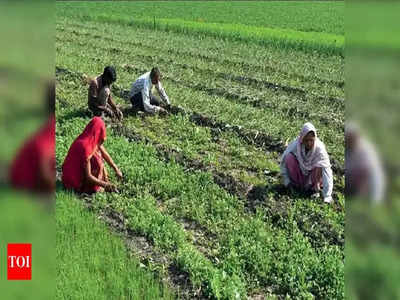 PM Kisan Yojana: పీఎం కిసాన్ రూ.2 వేలు రావడం లేదా?ఈ 5 విషయాలు తెలుసుకోండి!