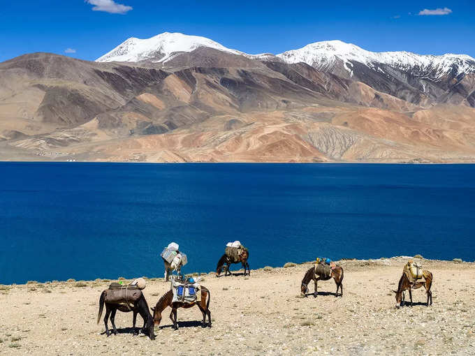 लद्दाख में त्सो मोरीरी ट्रेक - Tso Moriri trek in Ladakh