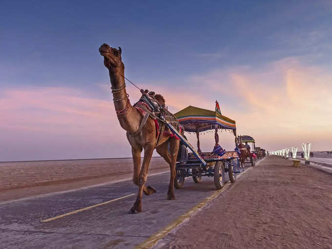 गुजरात में कच्छ का रण - Rann of Kutch in Gujarat