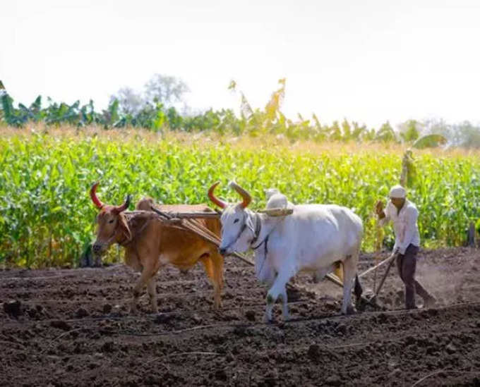 முக்கியமான அப்டேட்!