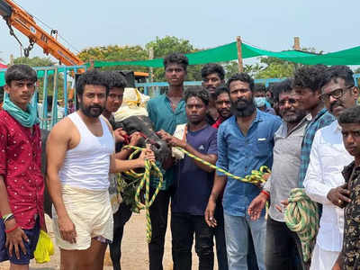 Vadivasal: மேலும் தள்ளிப்போகும் வாடிவாசல் ? வெளியான உண்மை நிலவரம்..!