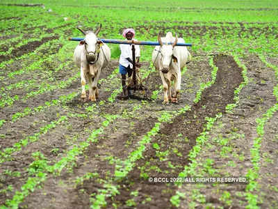 अग्रलेखः पीकपाण्याचे संकट