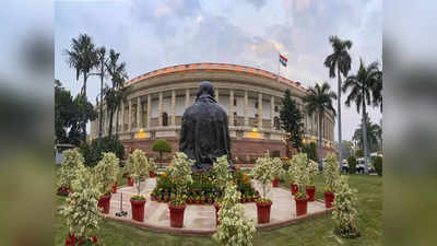 Parliament: সংসদে কর্মখালি, বাঁদর তাড়াতে বেতন প্রায় ১৭ হাজার টাকা