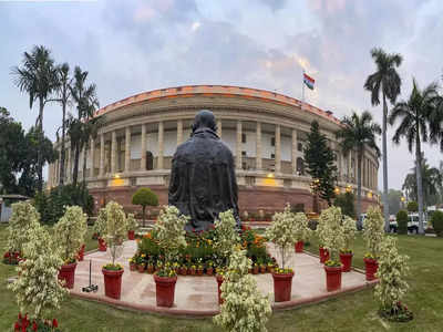 Parliament: সংসদে কর্মখালি, বাঁদর তাড়াতে বেতন প্রায় ১৭ হাজার টাকা