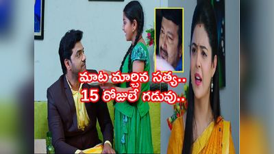 Devatha జూన్ 29: పదిహేను రోజులే గడువు.. మాట మార్చిన సత్య.. మనసుల్ని హత్తుకునే అనురాగం